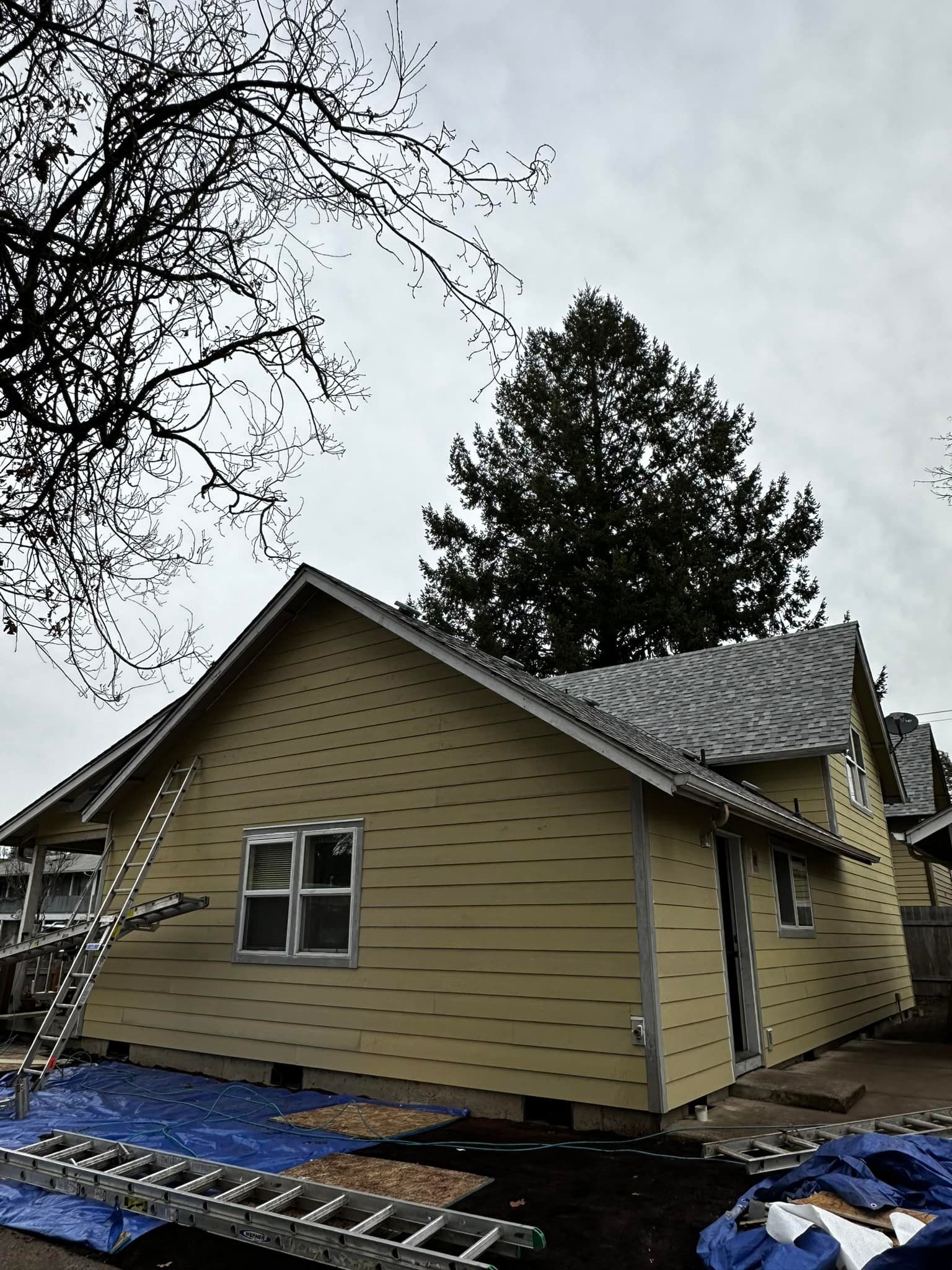 A yellow house with a ladder in front of it and a tree in the background.