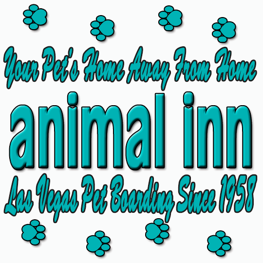 Local Pet Boarding | Las Vegas, NV | The Animal Inn
