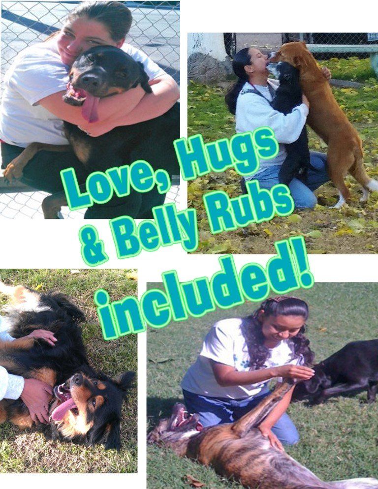 Dog Hugs Belly Rubs — Las Vegas, NV — The Animal Inn