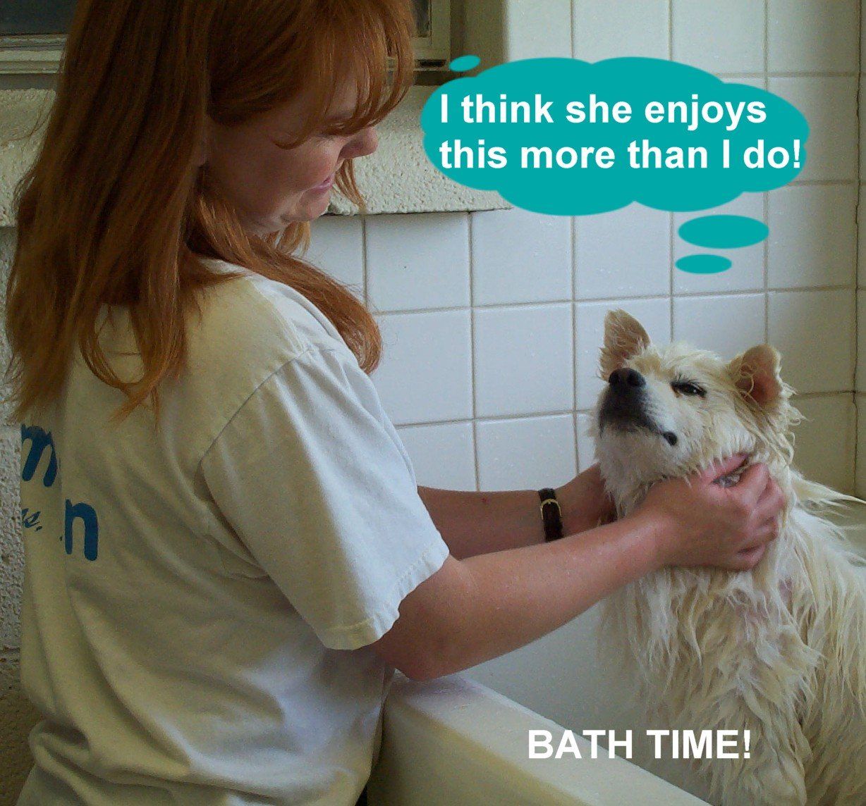 Woman Bathing Dog in Bathtub — Las Vegas, NV — The Animal Inn