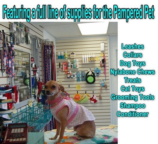 Pet Supplies — Las Vegas Strip, NV — The Animal Inn