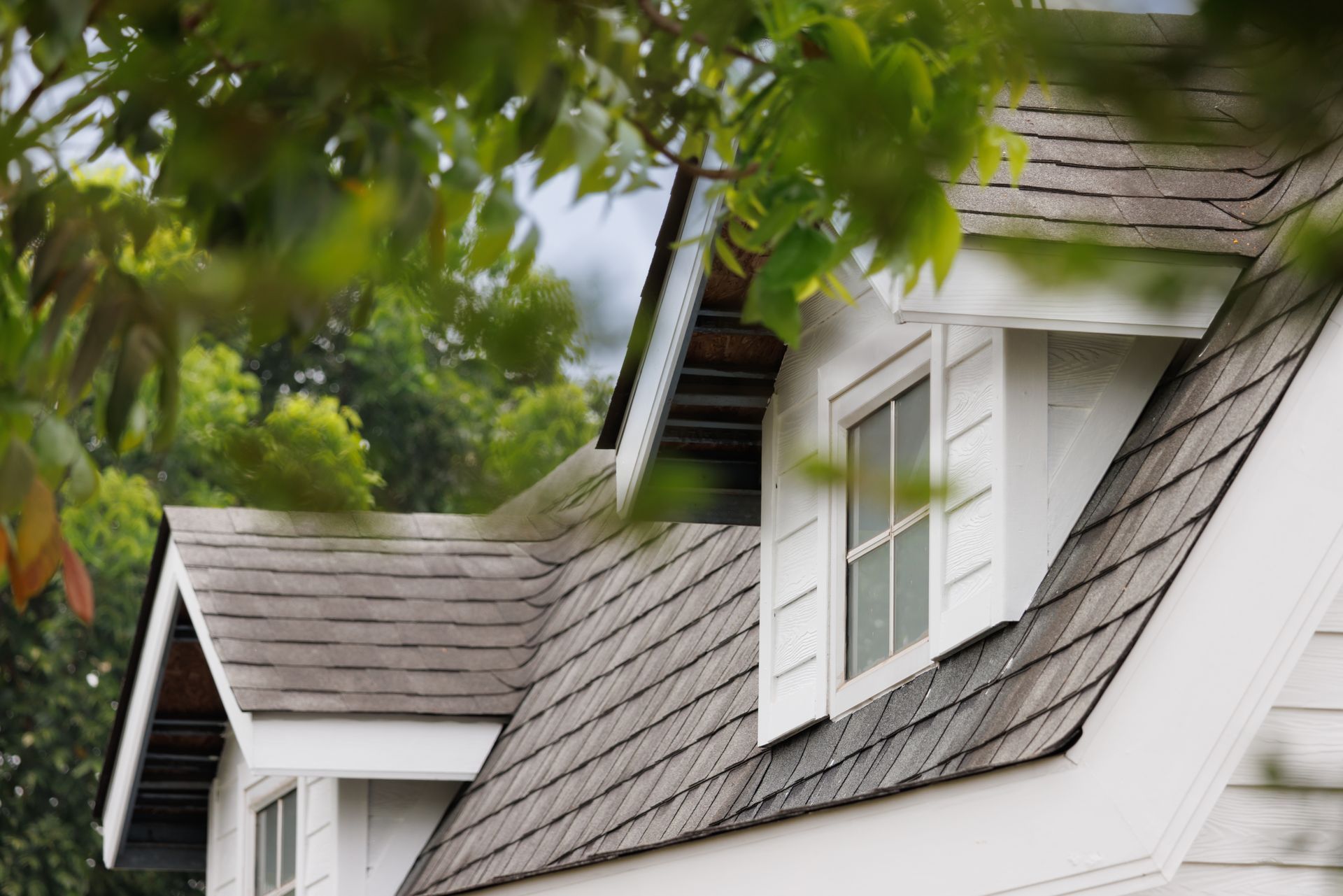 shingle roofing
