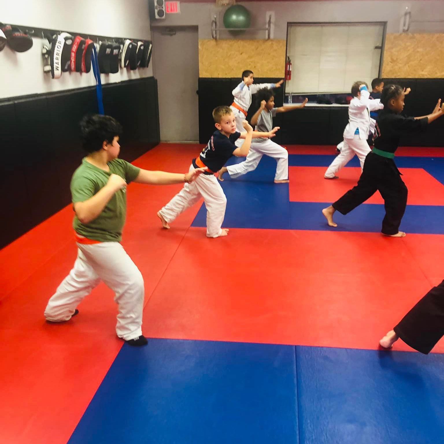 Children in martial arts gear practicing punches
