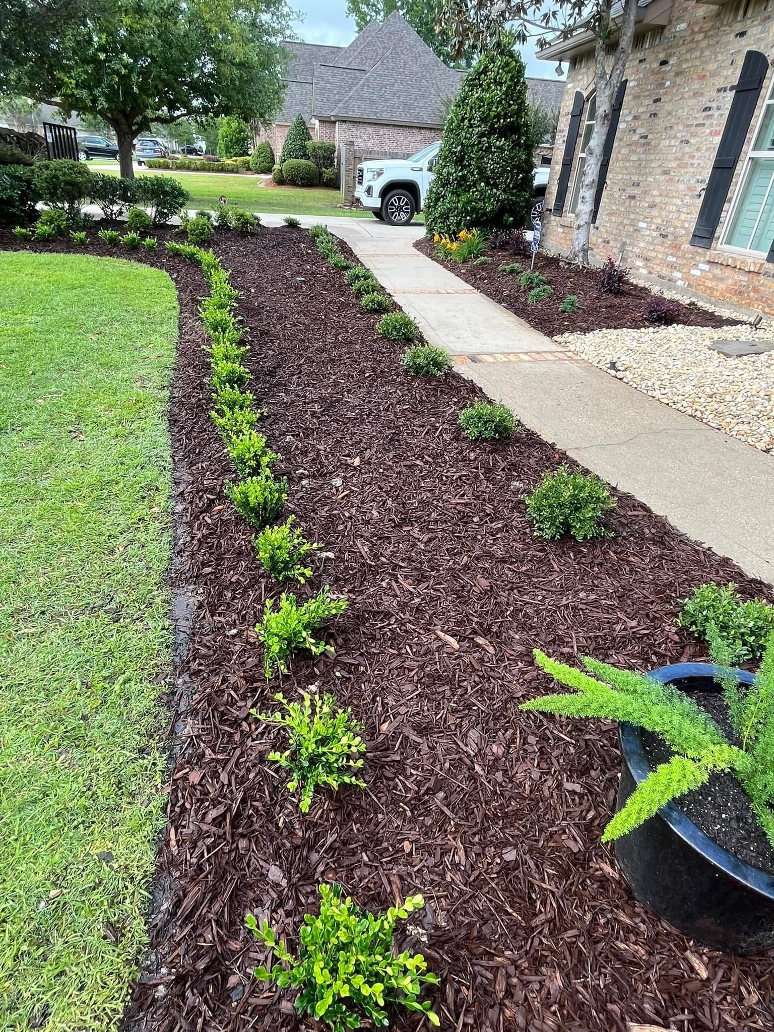 There is a potted plant in the middle of the garden.