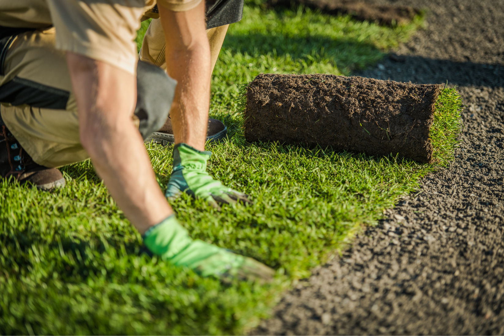 A man is rolling a roll of turf on the ground.