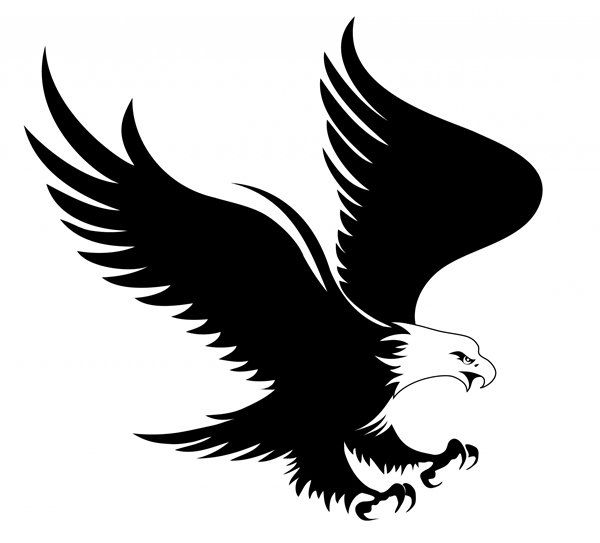 Black and white illustration of an eagle diving with outstretched wings and talons extended.