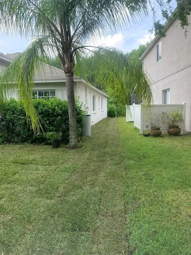Backyard view with white building, green grass, palm tree, and partial view of a second building.