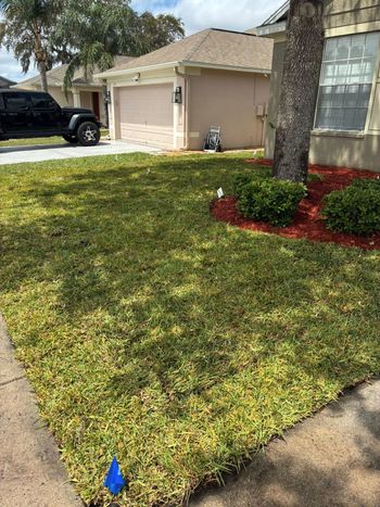 Green lawn in front of a beige house with a black vehicle parked on the side.