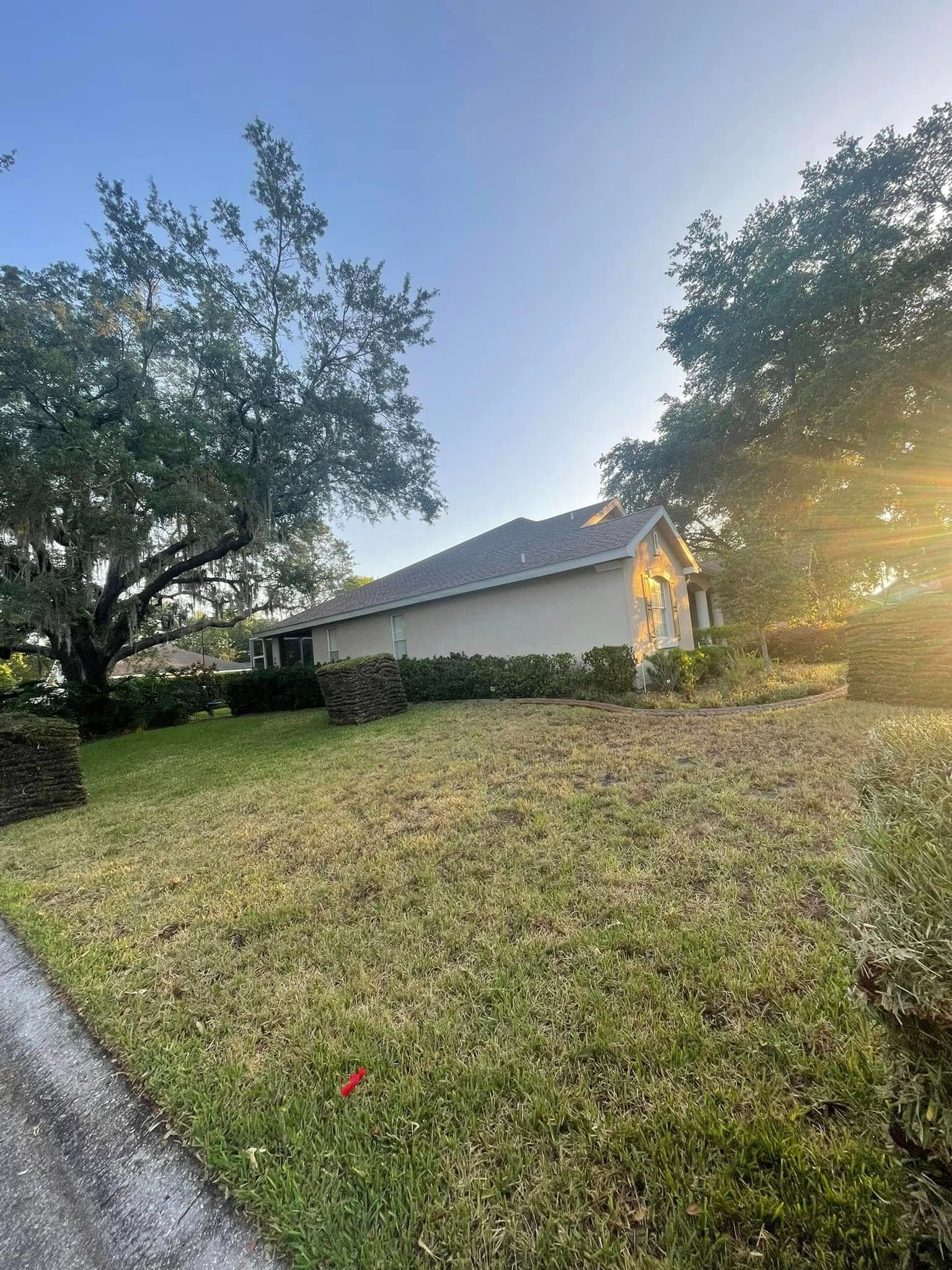 House behind a grassy lawn with trees on either side, under a blue sky.