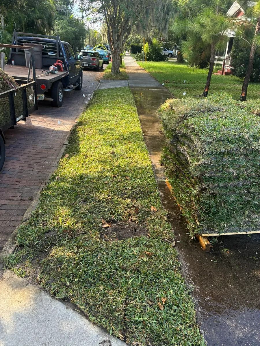Freshly laid sod beside a sidewalk; truck with more sod, sunny day.
