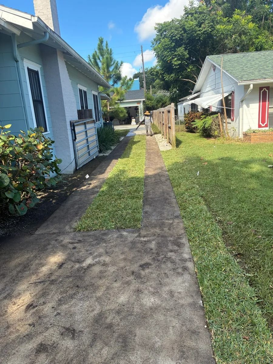 Concrete driveway between two houses; grass grows in cracks.
