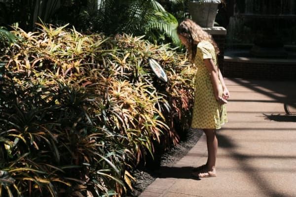 A woman in a yellow dress is looking at some plants.