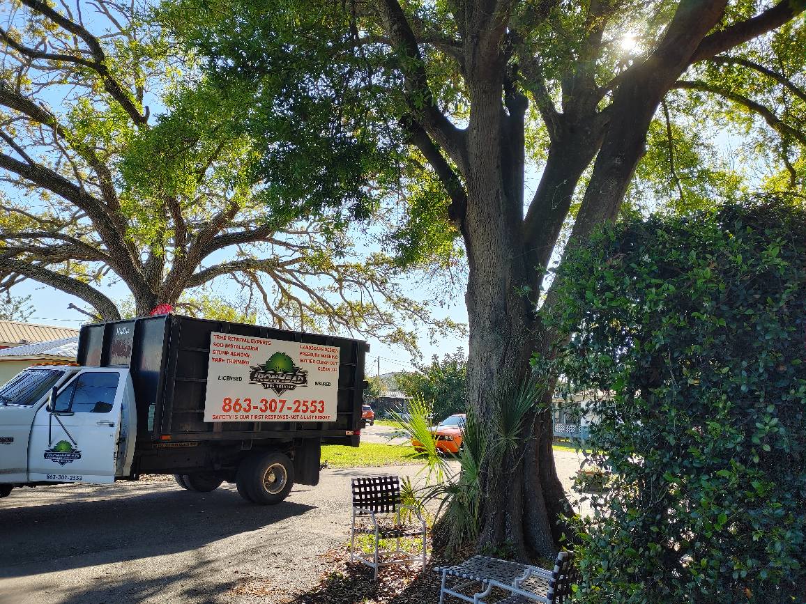 Commercial Land Clearing | Lakeland, FL | IronHead Tree Service