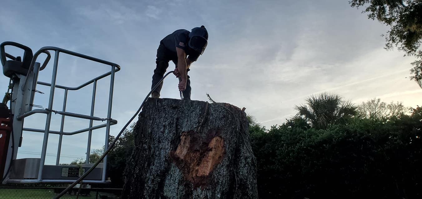 A tree service worker using a power tool to cut a large tree stump at dusk.