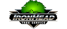 Tree Service Logo | Lakeland, FL | IronHead Tree Service