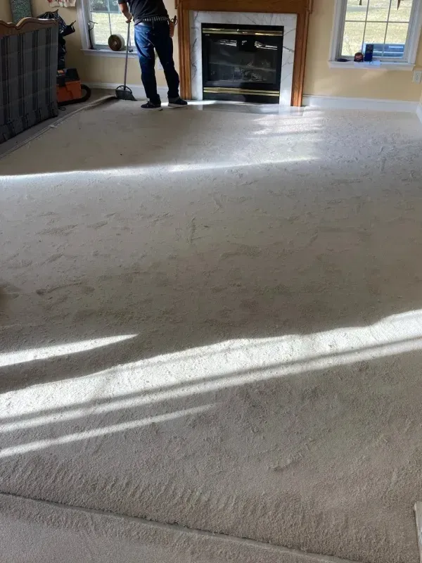 Person standing on dirty, light-colored carpet near a fireplace. Sunlight streams across the carpet.