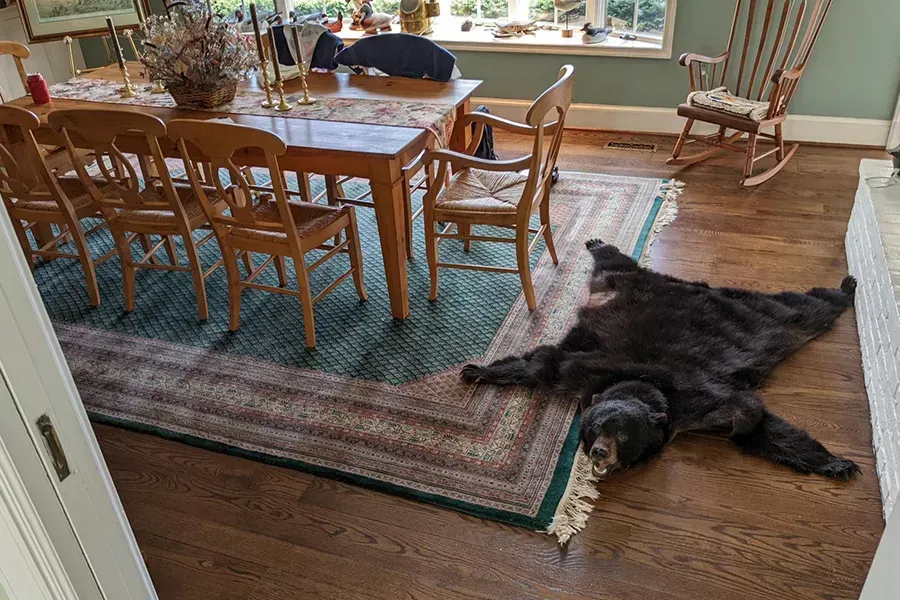 Dining room with a wooden table and chairs, a rug, and a bear skin rug on the floor.  A rocking chair is in the background.