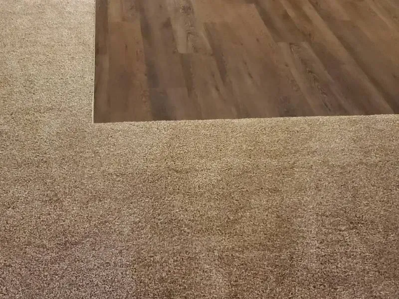 A corner with brown carpet meeting dark wood flooring. The carpet is lighter and textured.