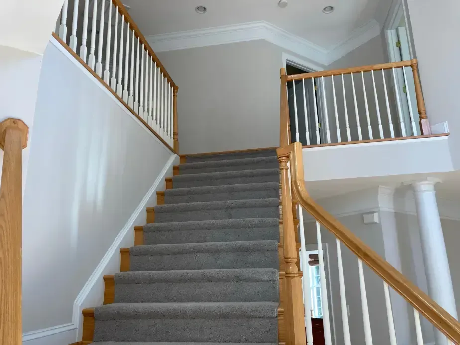 Interior staircase with carpeted steps, light gray walls, and wooden banisters.