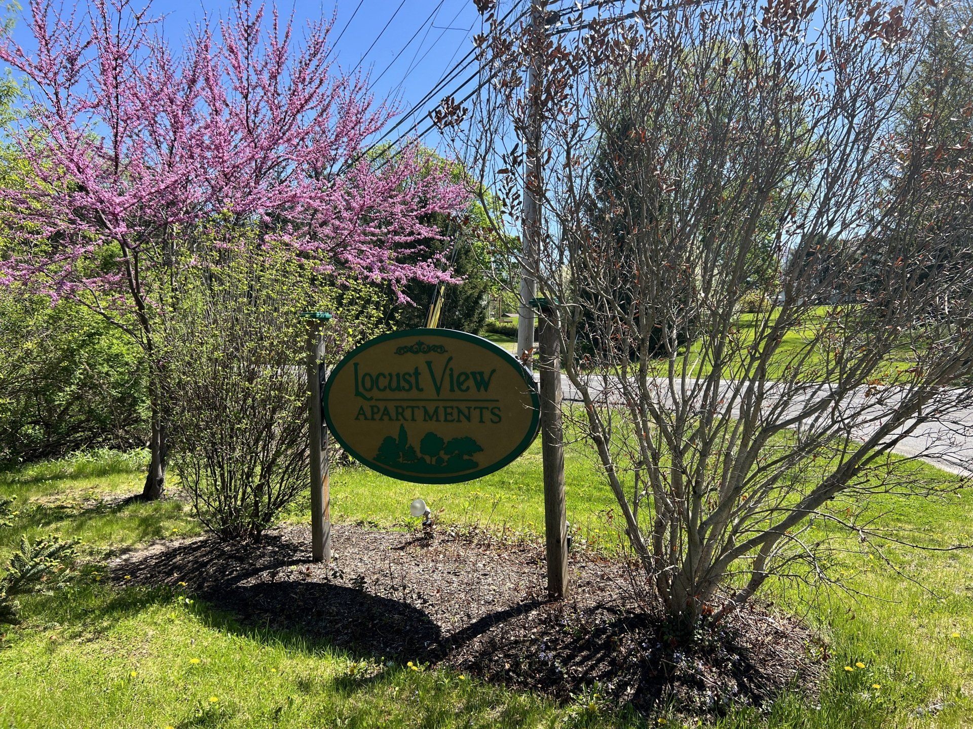 Locust View Apartments Outdoor Sign