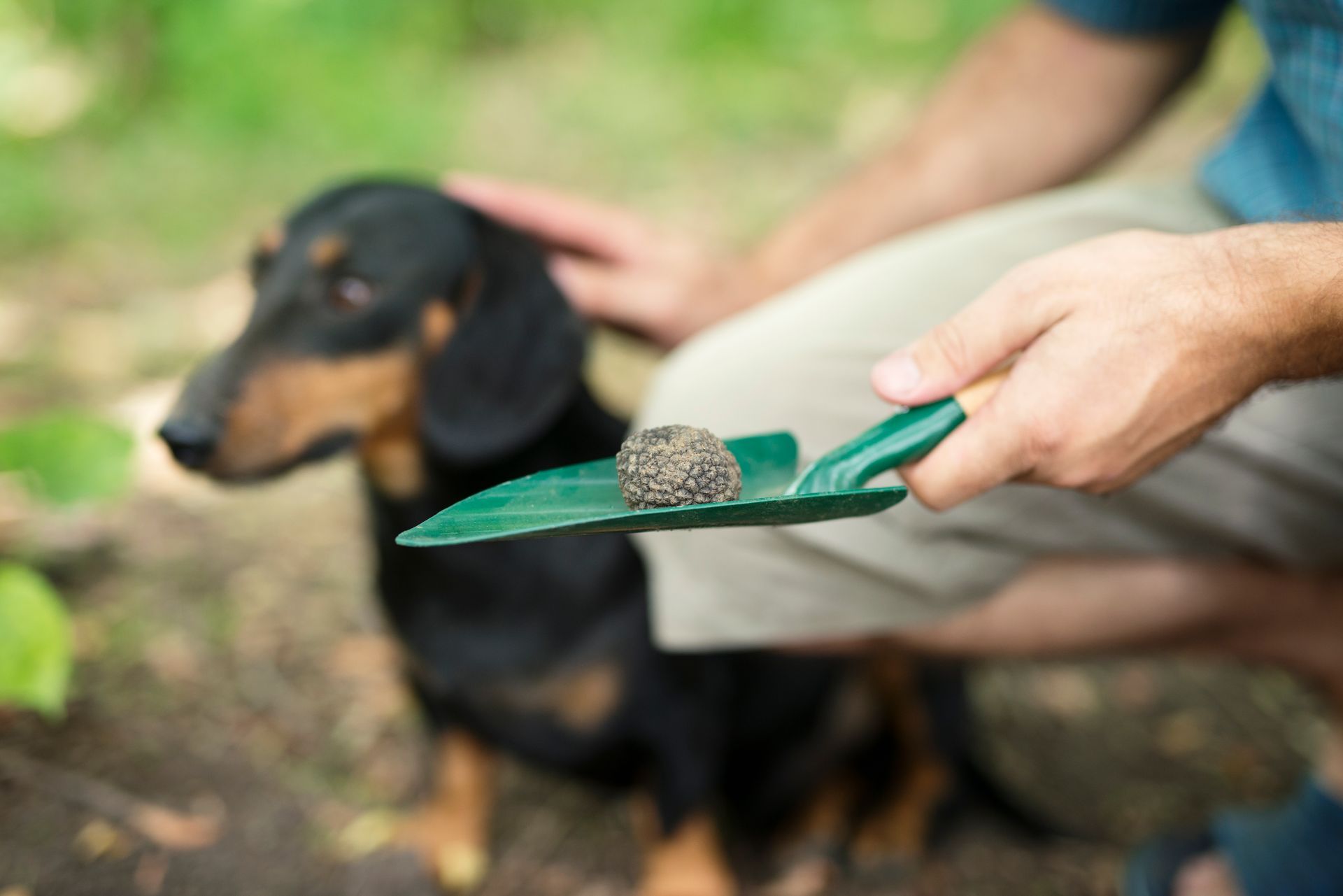 Como dueño de un perro, debes ser responsable recogiendo su popó de lugares públicos,