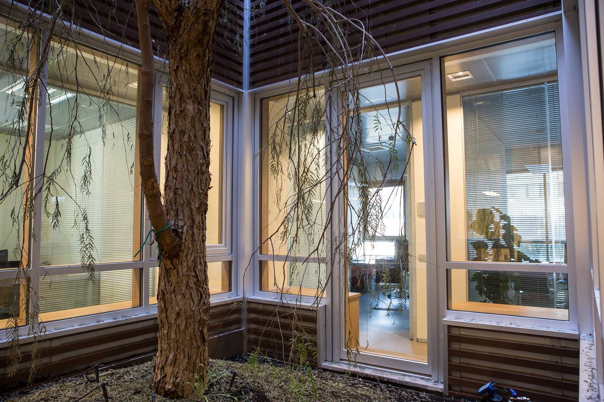 infissi in legno e pvc