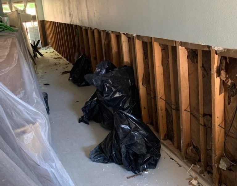 flood cuts drywall clean up