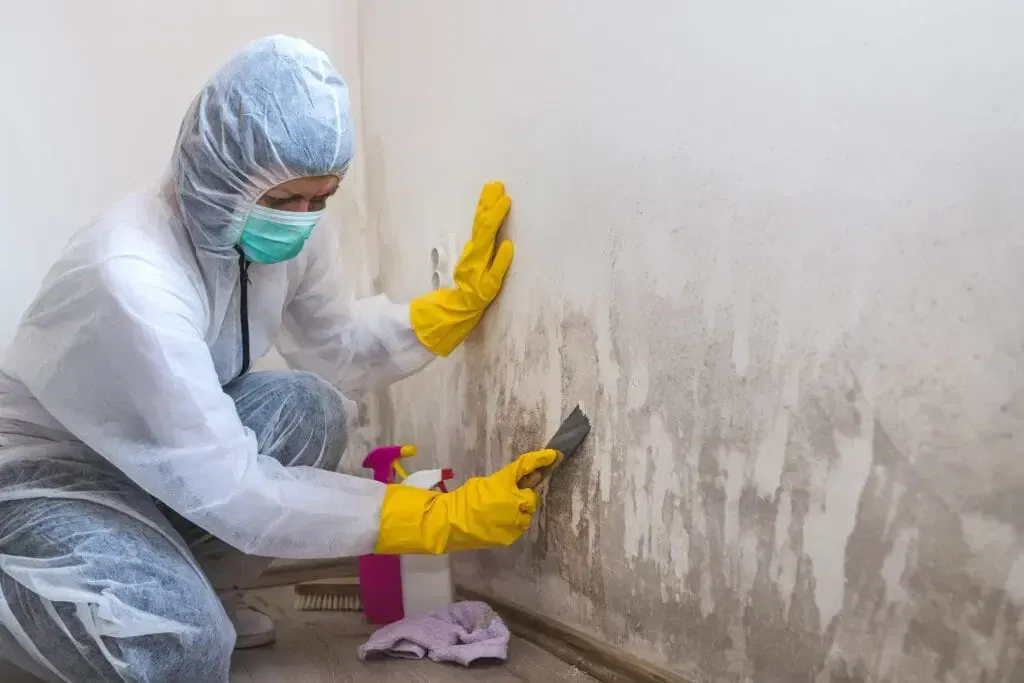 Person in protective suit scraping mold off wall.