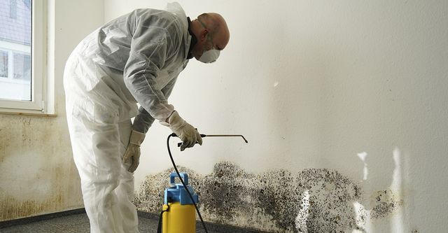 Man in protective suit spraying a wall covered in mold.
