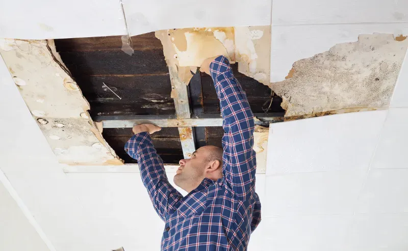 wet drywall repair