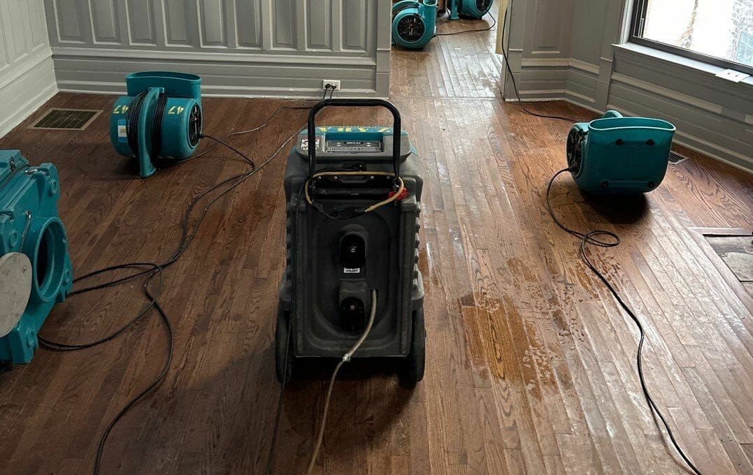 dehumidifiers and air movers