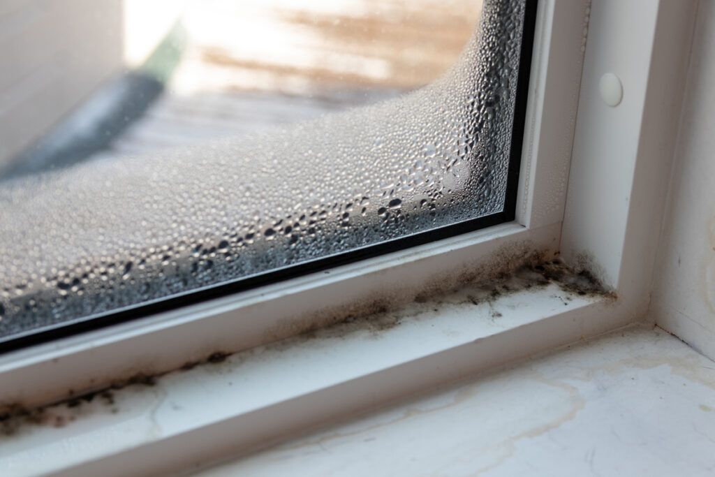 Window with condensation and black mold in the corner.