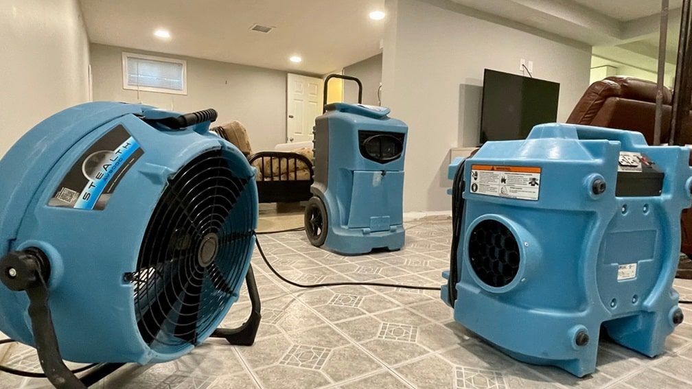 dehumidifiers and air movers