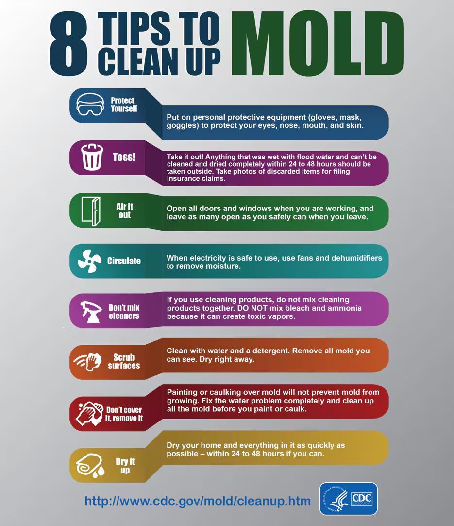 A chart with tips about cleaning up mold