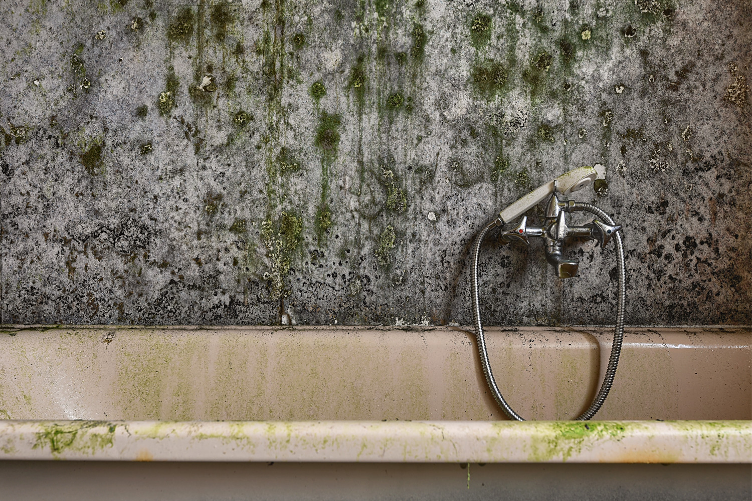 black-mold-up-close
