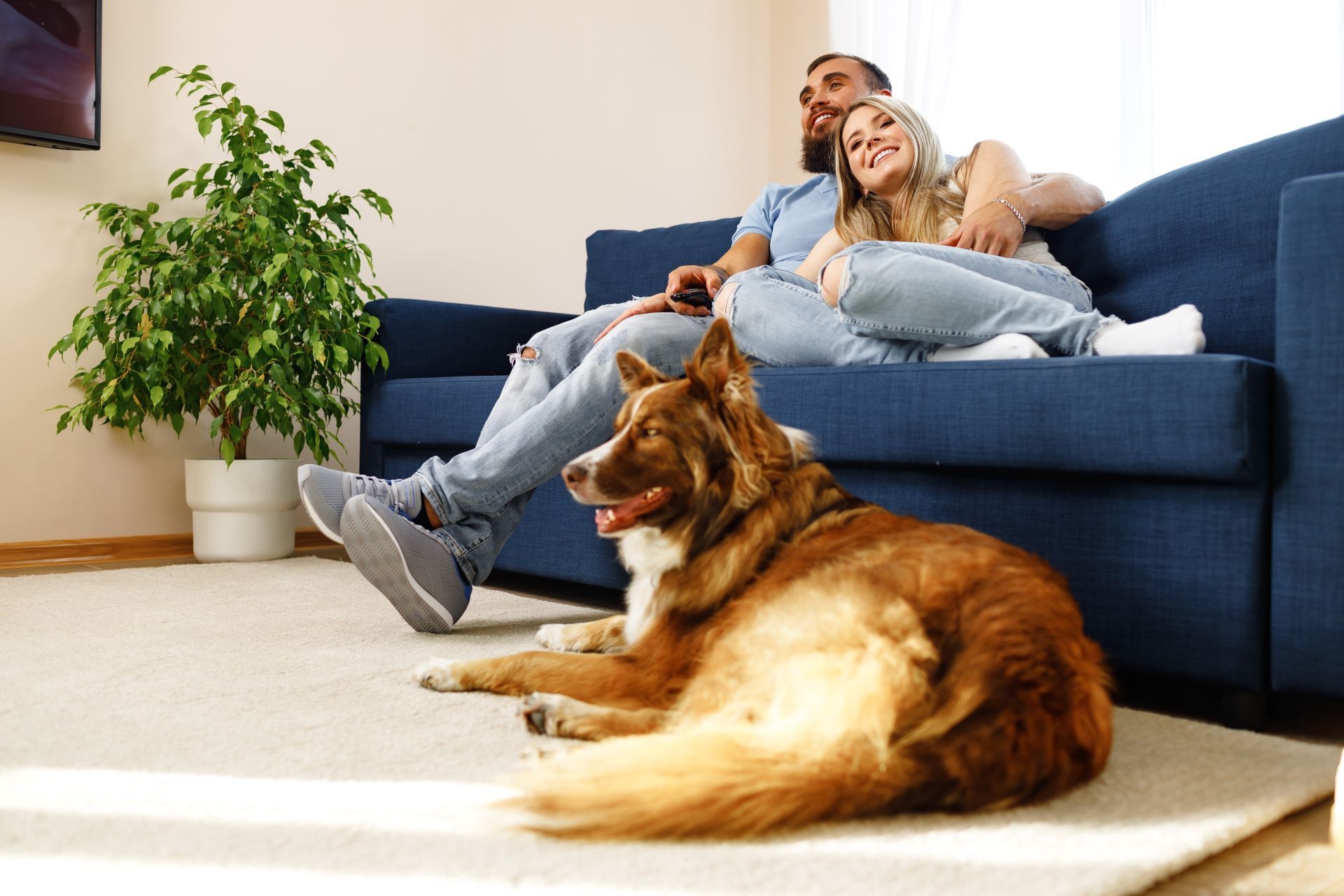 A couple relaxing on a blue sofa with their golden-brown dog resting on a rug in a bright, modern living room.
