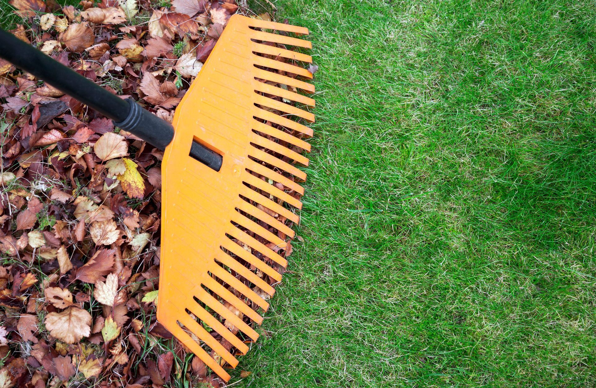 Yard Cleanup in Pickerington, OH Yard Cleanup in Pickerington, OH