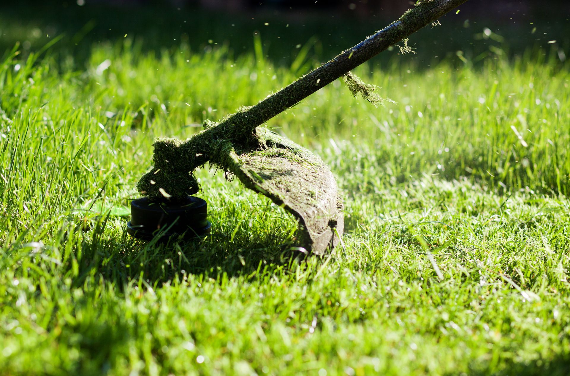 Weed Whacking in Pickerington, OH Weed Whacking in Pickerington, OH