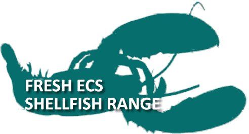 Teal lobster silhouette with