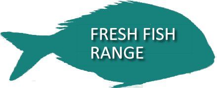 Teal fish silhouette with the words 