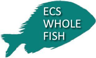 Green fish silhouette with white text reading 