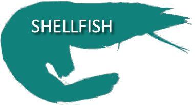 Teal shrimp silhouette with 