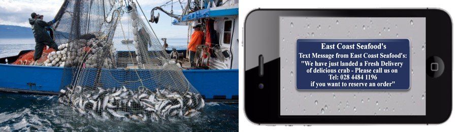 Fishing boat with catch of fish; smartphone displays text message from 