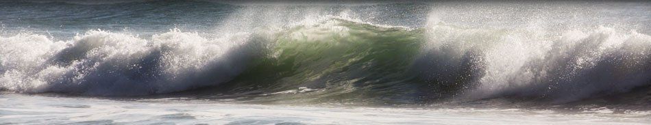 A Friendly and Professional Service