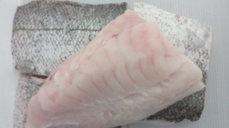 Raw, pale-pink fish fillet on top of a section of fish skin, which is gray.