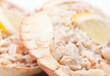 Close-up of cooked lobster meat with lemon wedges.