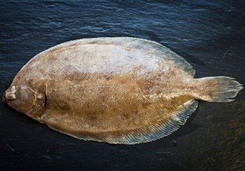 Flat, oval-shaped flatfish with a speckled brown exterior on a dark, textured surface.