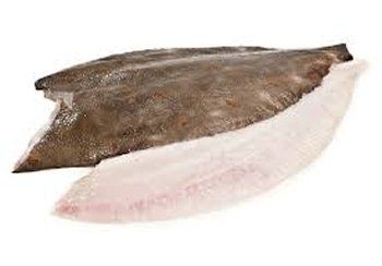 Raw flounder fillet, brown skin up, white flesh visible.