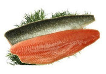 Salmon fillet, red flesh side up, with silver skin on top, sprigs of dill.