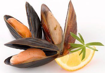 Cooked mussels in open shells with lemon and herb garnish.